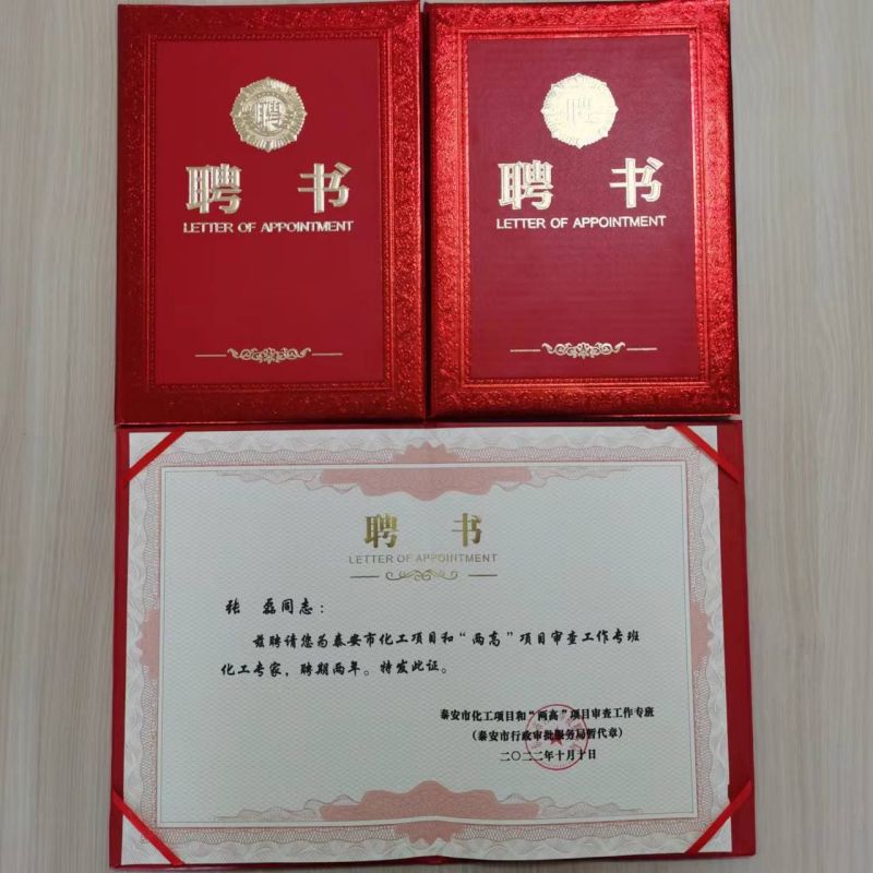 孫虎等三名同志喜獲泰安市化工項目和“兩高”項目
