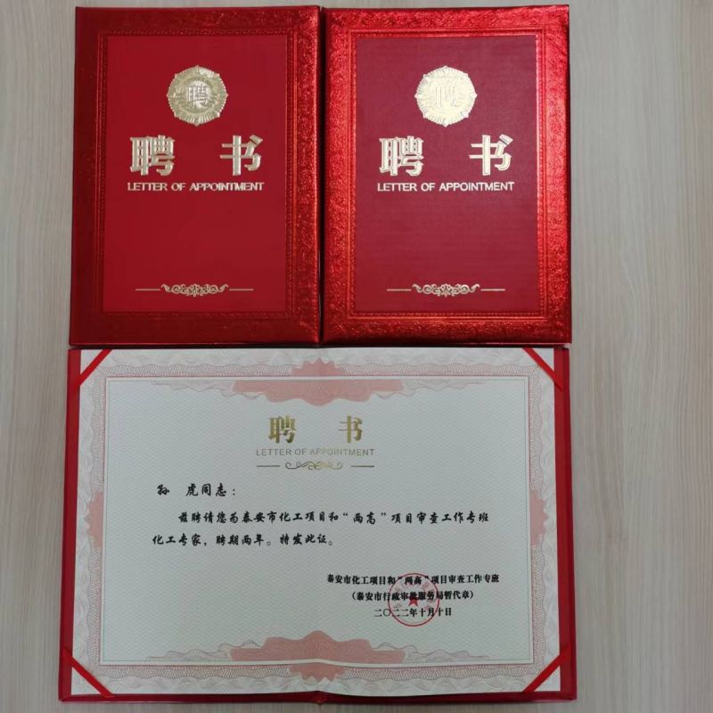 孫虎等三名同志喜獲泰安市化工項目和“兩高”項目